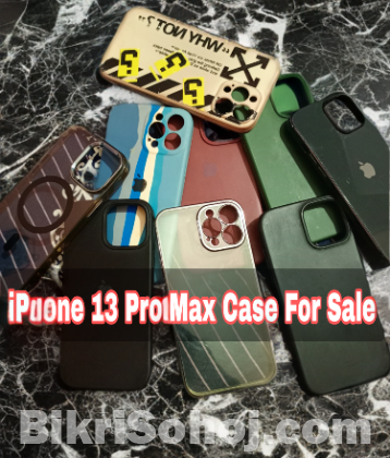 IPhone 13 pro max case/cover